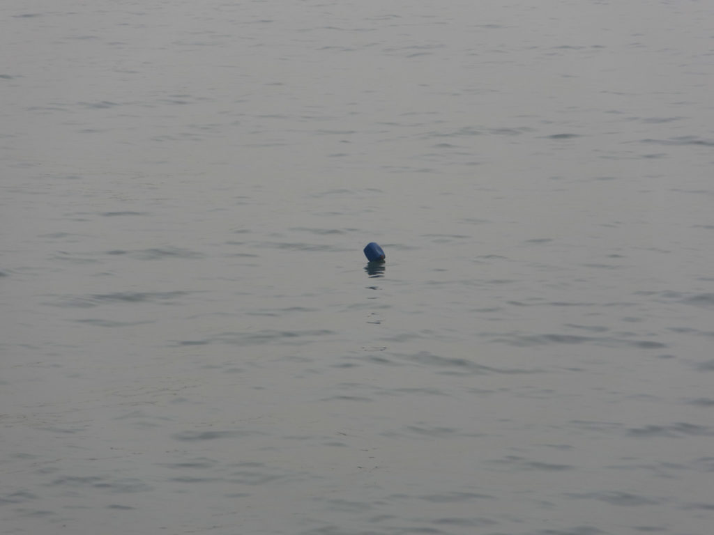 Just a bouy, floating in a harbour, waiting for someone to love him.